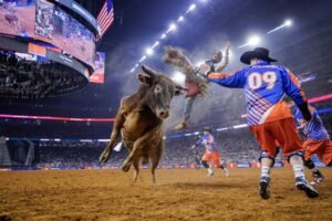 How the Houston Rodeo expanded its national brand recognition